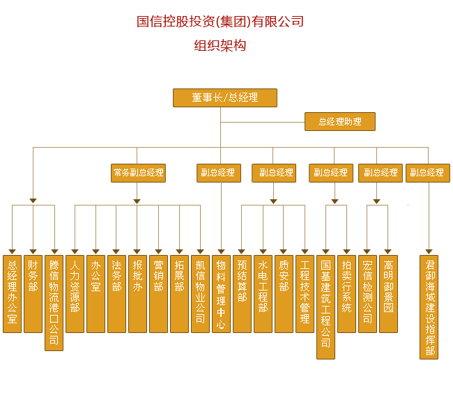 组织架构---国信控股投资(集团)公司